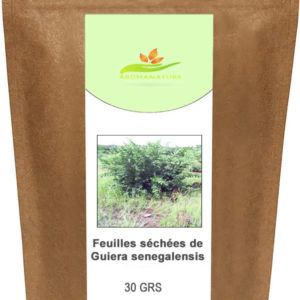 Feuilles de Guiera Senegalensis – 30 grs
